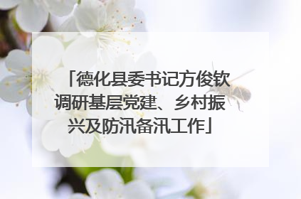 德化县委书记方俊钦调研基层党建、乡村振兴及防汛备汛工作