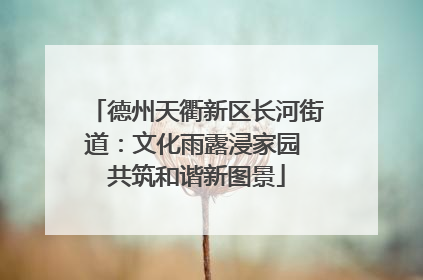 德州天衢新区长河街道：文化雨露浸家园 共筑和谐新图景