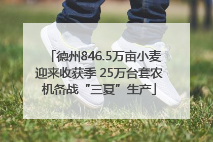 德州846.5万亩小麦迎来收获季 25万台套农机备战“三夏”生产
