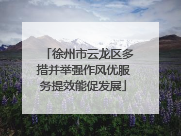 徐州市云龙区多措并举强作风优服务提效能促发展