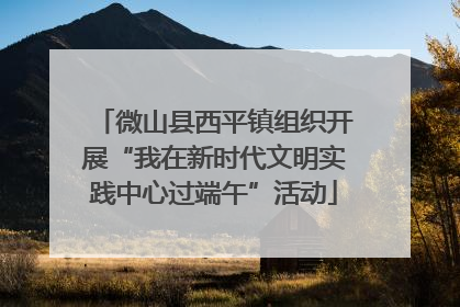 微山县西平镇组织开展“我在新时代文明实践中心过端午”活动