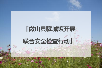 微山县驩城镇开展联合安全检查行动