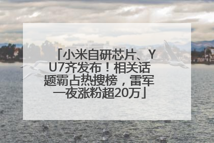 小米自研芯片、YU7齐发布！相关话题霸占热搜榜，雷军一夜涨粉超20万