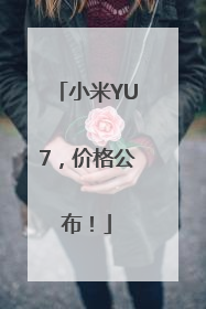 小米YU7，价格公布！