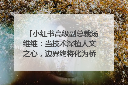 小红书高级副总裁汤维维：当技术深植人文之心，边界终将化为桥梁｜聚焦2025文化强国建设高峰论坛