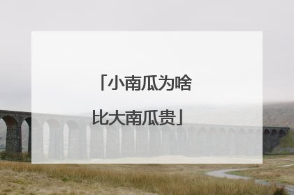 小南瓜为啥比大南瓜贵