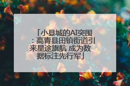 小县城的AI突围：高青县田镇街道引来星途旗航 成为数据标注先行军
