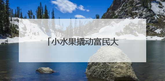 小水果撬动富民大产业 特色农业绘就乡村振兴新画卷