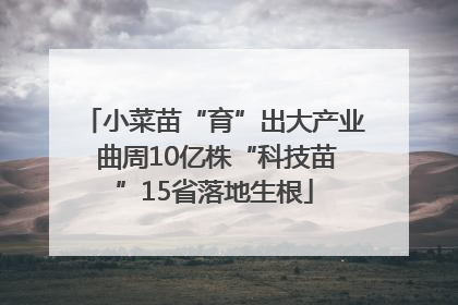 小菜苗“育”出大产业 曲周10亿株“科技苗”15省落地生根