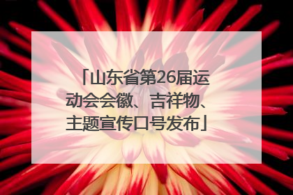 山东省第26届运动会会徽、吉祥物、主题宣传口号发布