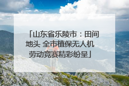 山东省乐陵市：田间地头 全市植保无人机劳动竞赛精彩纷呈