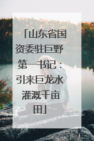 山东省国资委驻巨野第一书记：引来巨龙水 灌溉千亩田