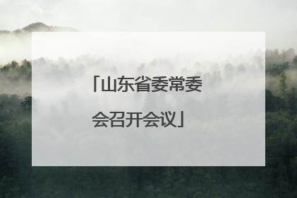 山东省委常委会召开会议