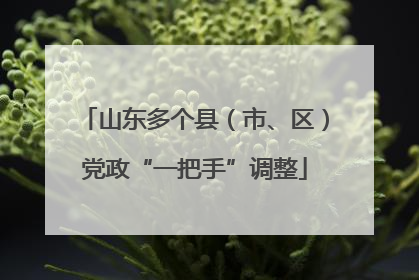 山东多个县（市、区）党政“一把手”调整