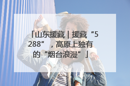 山东援藏｜援藏“5288”，高原上独有的“烟台浪漫”