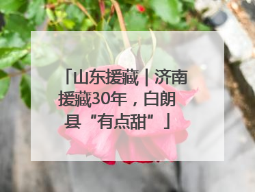 山东援藏｜济南援藏30年，白朗县“有点甜”
