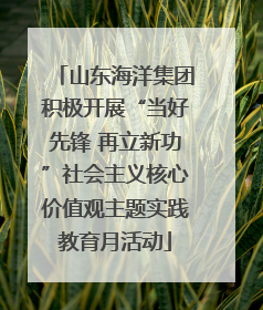 山东海洋集团积极开展“当好先锋 再立新功”社会主义核心价值观主题实践教育月活动
