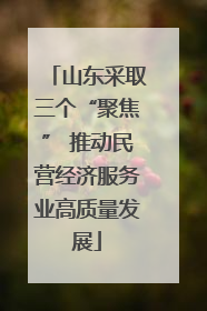 山东采取三个“聚焦” 推动民营经济服务业高质量发展
