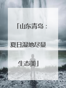 山东青岛：夏日湿地尽显生态美