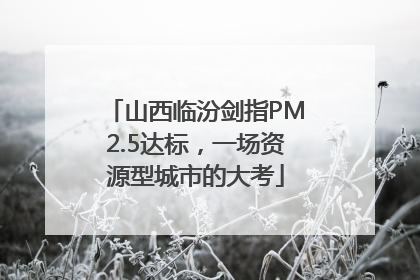 山西临汾剑指PM2.5达标，一场资源型城市的大考