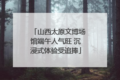 山西太原文博场馆端午人气旺 沉浸式体验受追捧