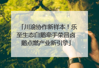川渝协作新样本！乐至生态白鹅牵手荣昌卤鹅点燃产业新引擎