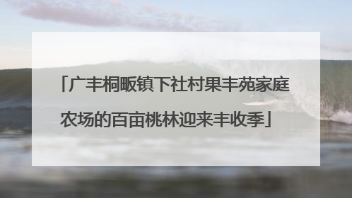 广丰桐畈镇下社村果丰苑家庭农场的百亩桃林迎来丰收季