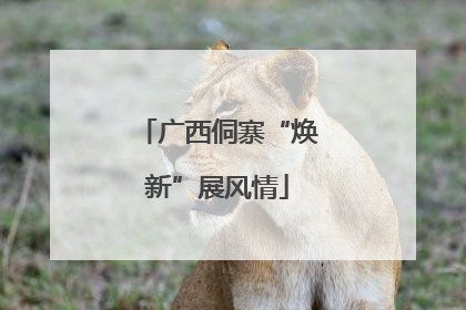 广西侗寨“焕新”展风情