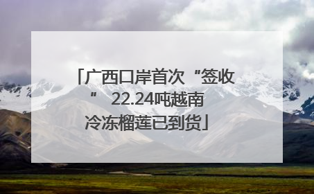 广西口岸首次“签收” 22.24吨越南冷冻榴莲已到货