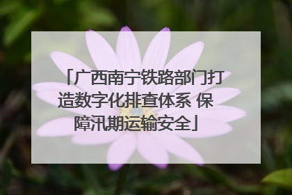 广西南宁铁路部门打造数字化排查体系 保障汛期运输安全