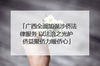 广西全面加强涉侨法律服务 以法治之光护侨益聚侨力暖侨心