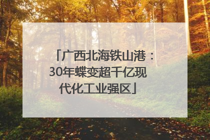 广西北海铁山港：30年蝶变超千亿现代化工业强区
