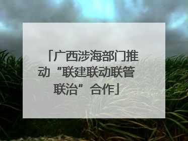 广西涉海部门推动“联建联动联管联治”合作
