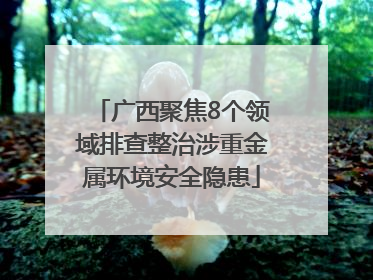 广西聚焦8个领域排查整治涉重金属环境安全隐患