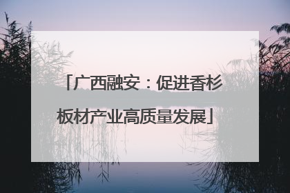 广西融安：促进香杉板材产业高质量发展