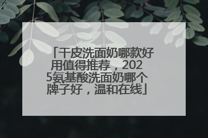 干皮洗面奶哪款好用值得推荐，2025氨基酸洗面奶哪个牌子好，温和在线