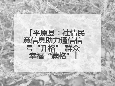 平原县：社情民意信息助力通信信号“升格” 群众幸福“满格”