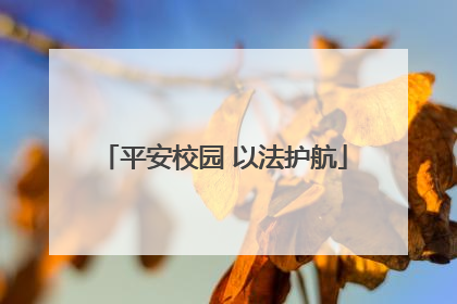 平安校园 以法护航