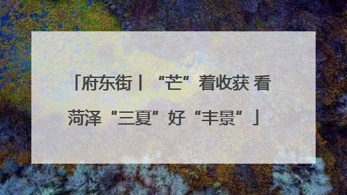 府东街丨“芒”着收获 看菏泽“三夏”好“丰景”