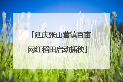 延庆张山营镇百亩网红稻田启动插秧