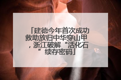 建德今年首次成功救助放归中华穿山甲，浙江破解“活化石”续存密码
