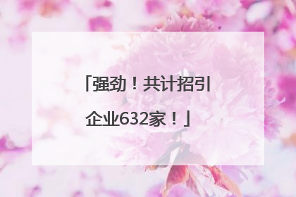强劲！共计招引企业632家！