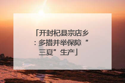 开封杞县宗店乡：多措并举保障“三夏”生产