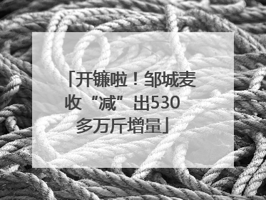 开镰啦！邹城麦收“减”出530多万斤增量