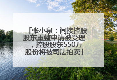 张小泉：间接控股股东重整申请被受理，控股股东550万股份将被司法拍卖