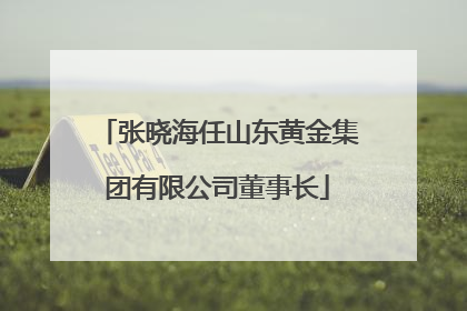 张晓海任山东黄金集团有限公司董事长
