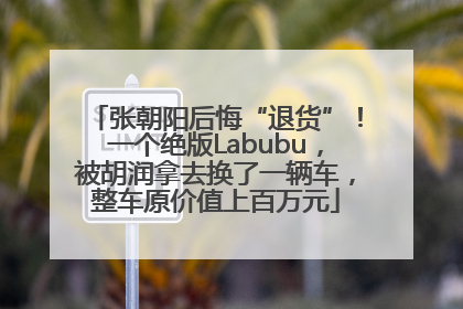 张朝阳后悔“退货”！一个绝版Labubu，被胡润拿去换了一辆车，整车原价值上百万元