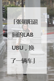 张朝阳退回的LABUBU，换了一辆车