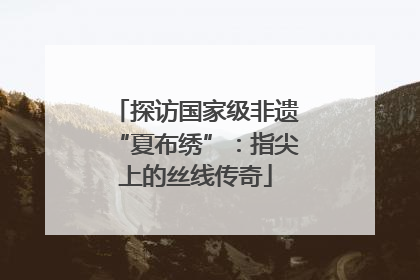 探访国家级非遗“夏布绣”：指尖上的丝线传奇