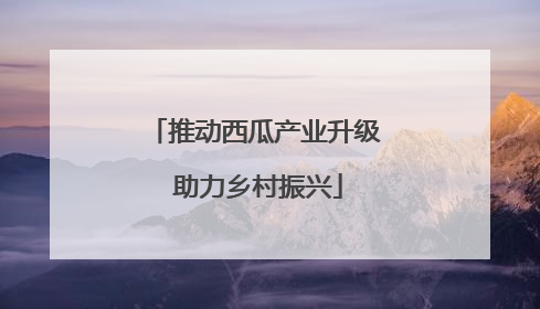 推动西瓜产业升级 助力乡村振兴